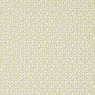 Chinese Daisy WR1004-04