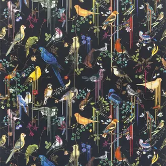 Birds Sinfonia Crepuscule FCL7024-02
