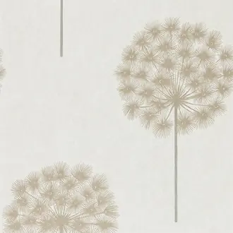 Amity 111886