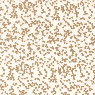 Aleora 48550541