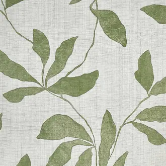 Desert Ivy 40203