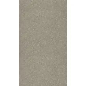 Corium ENCY 8267 13 48