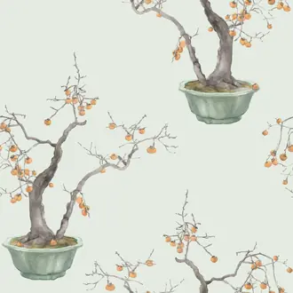 Kaki Persimmon 126-2006