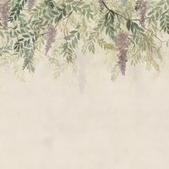 Wisteria S10657