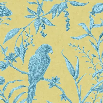 Squawk Curacao Wallpaper