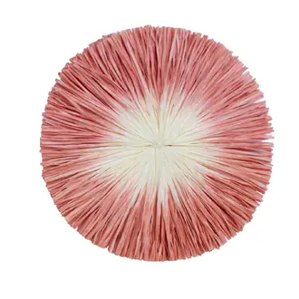 Corsica Raffia Rosette RT-61216-02