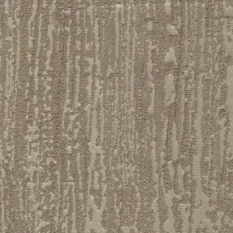 Hopea 01 Pumice