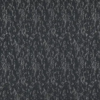 Cos 07 Anthracite