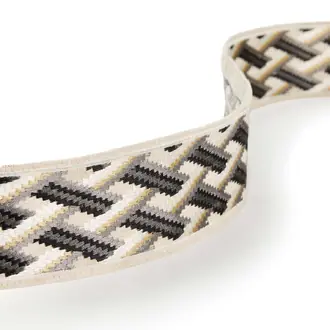 Taniska Braid T810-01