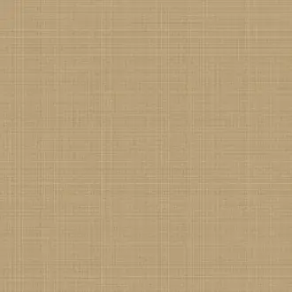 Essential Textures 2231915