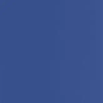 Pigments 200336776