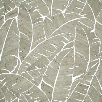 Palm Paradise 10565