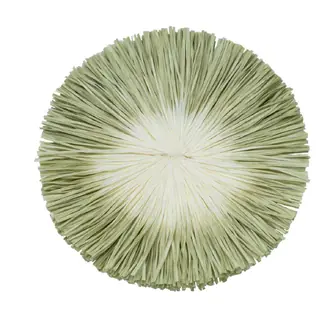 Corsica Raffia Rosette RT-61216-07
