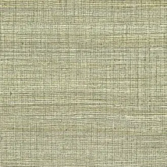 Rhea VP-1008-61