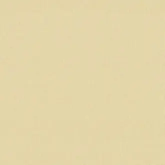Lin du Sud 19643112