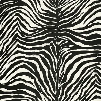 Zebra Dolce TCW007TCAI9UZ003