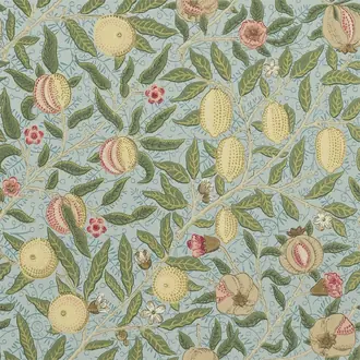 Fruit 210396