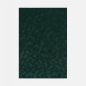 Bacara 00T2304000-006