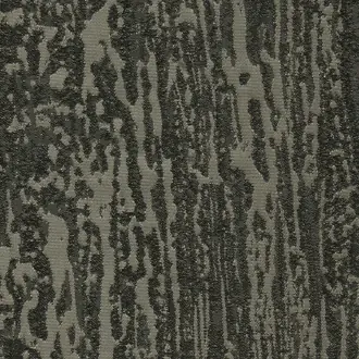 Hopea 03 Shadow