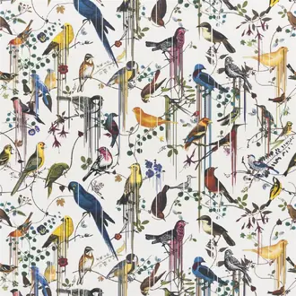 Birds Sinfonia Perce neige FCL7024-01