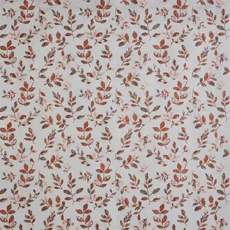Nature 4051-123