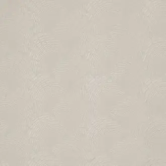 Fanning Fronds JT013986-001