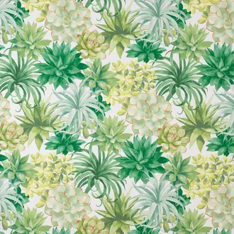Botanica Tissu Echeveria 86117479