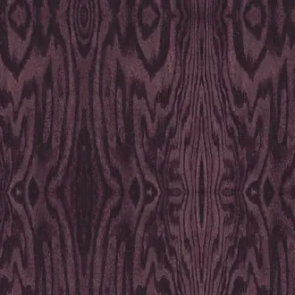 Arbre Damson 53