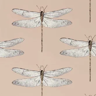 Demoiselle 113142