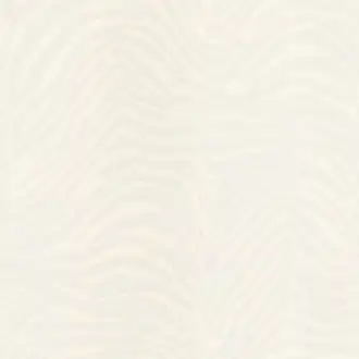 Zebra Dolce TCW007TCAI9UZ026