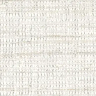 Shades of pale SOP4124