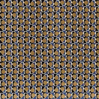 Capsule 35510472