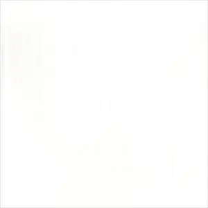 Pure White No 1 Paint