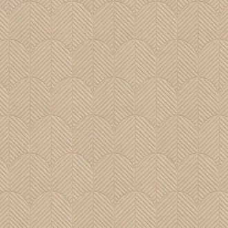 Anicca 72523