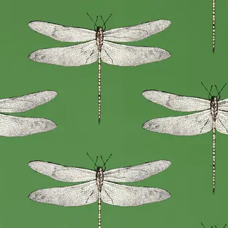 Demoiselle 113143