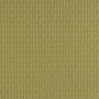 Dodici Olio