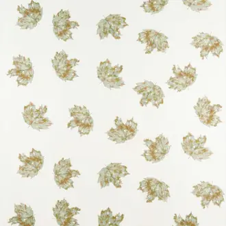 Sycamore Sheer F7372-01