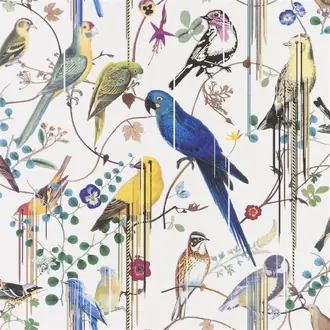 Birds Sinfonia Perce neige PCL7017-02
