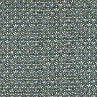 Bellflowers 227254