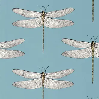 Demoiselle 113144