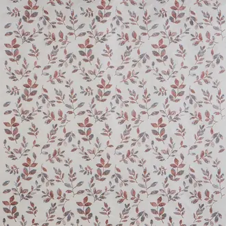 Nature 4051-321