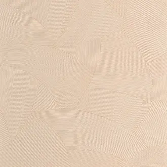 Terra 106062087
