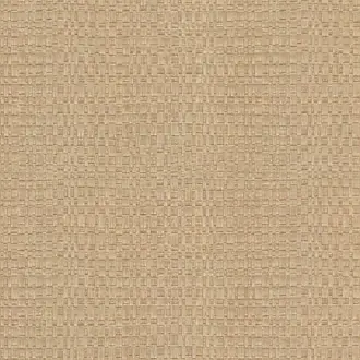 Canvas 313534