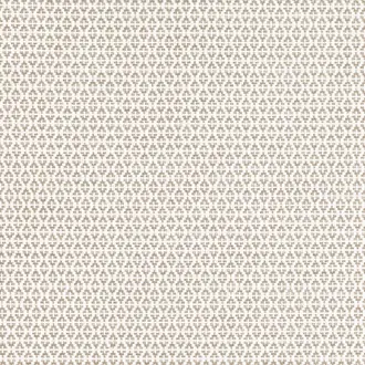 Ituri Oat 7888-01