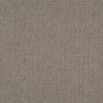 Scribble Pumice