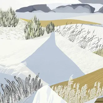 Paysage 6455-01