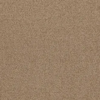 Baker House Boucle BF10965-407