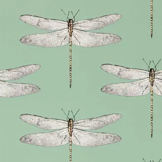 Demoiselle 113145