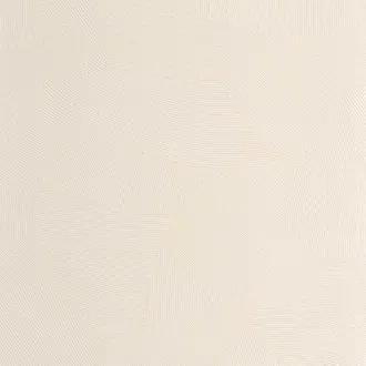 Terra 106061023
