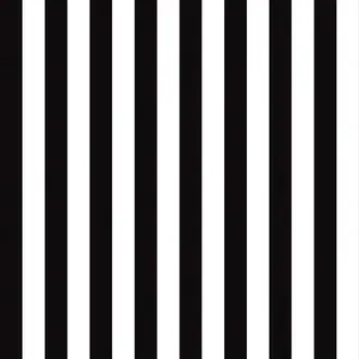 Stripes And Damask 2 BW28702
